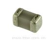 1pF/50V ±0.25pF SMD-0402 NPO Capacitor