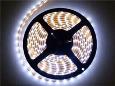 SMD 3528 LED Strip light - Pure White