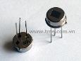 Pyroelectric Passive Infrared Sensor (PIR sensor)